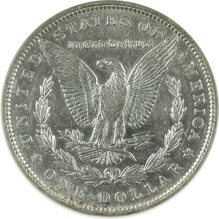 Ten Morgan Silver Dollars.