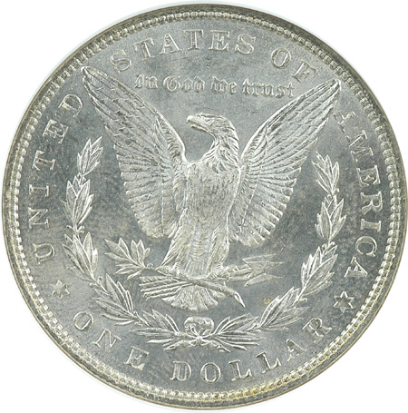 Nine 1887 NGC MS-63.