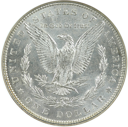 Eleven 1887 NGC MS-63.