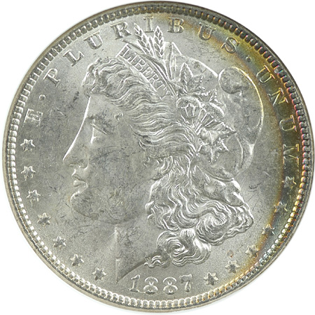 Eleven 1887 NGC MS-63.