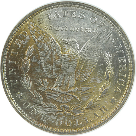 Eight 1887 NGC MS-64.