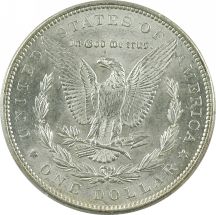 Nine Morgan Silver Dollars.