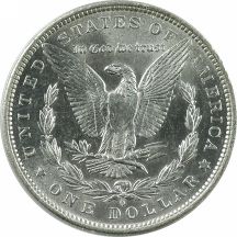 Fifteen Morgan Silver Dollars.