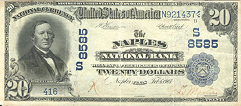 1902 $20.00. Naples, TX Date Back Blue Seal. VF.