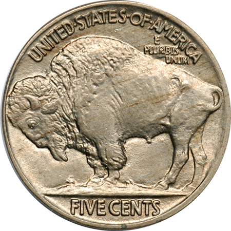 Two Buffalo Nickels.