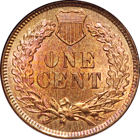 1876 NGC MS-65 RB.