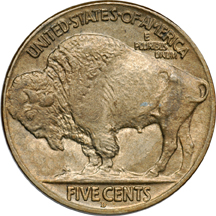 Two Buffalo Nickels.