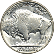 Twelve Buffalo Nickels.