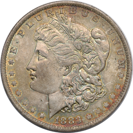 Eight Toned Morgan Silver Dollars.