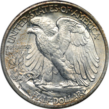 Eleven Walking Liberty Half Dollars.