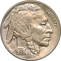 Six Buffalo Nickels.