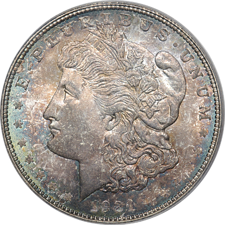 1921-D NGC MS-65 and Two 1921-D PCGS MS-65.