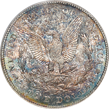 1921-D NGC MS-65 and Two 1921-D PCGS MS-65.