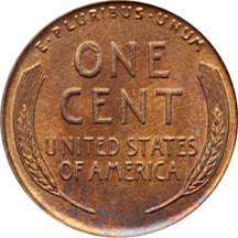 1924-D ANACS MS-62 BRN.