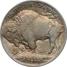 Eight Buffalo Nickels. PCGS.