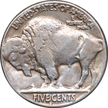 Eight Buffalo Nickels.