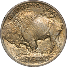 Six Buffalo Nickels.