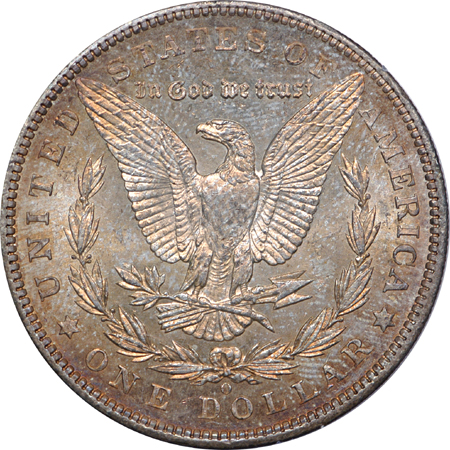 1885-O and seven additional PCGS MS-64 Morgan dollars