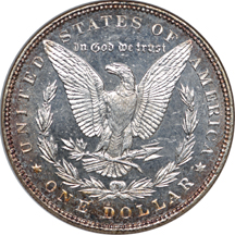 1883 and three additional NGC certified 'DMPL' Morgans. Unc.