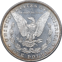 1884-CC and seven additional PCGS certified Morgan dollars Unc.