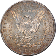 1885-O and seven additional PCGS MS-64 Morgan dollars
