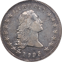 1795 Flowing Hair silver dollar, NGC XF-45