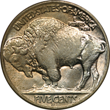 Nineteen 1938-D Buffalo nickels in MS-60 or better