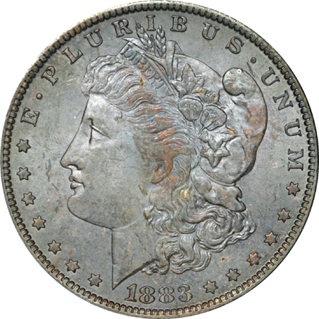 Nine intriguing Morgan silver dollars.