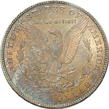 1881-S, 1882-S, and 1882-CC, PCGS.