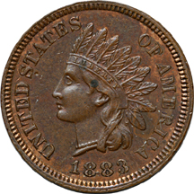 Thirteen Indian Head Cents.