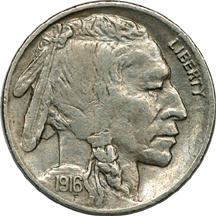 Eleven Buffalo Nickels.