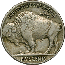 Twelve Buffalo Nickels.