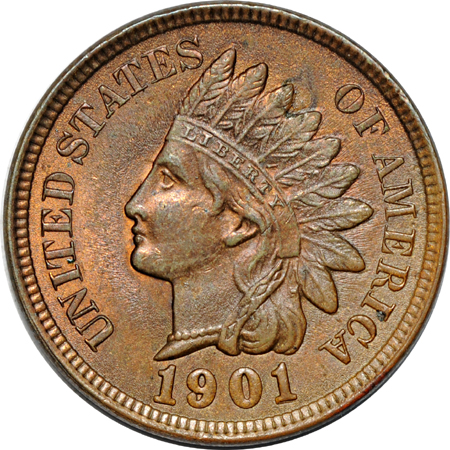 Nine Indian Head Cents.