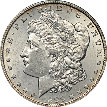 Partial album (1897 - 1921) of Morgan dollars.