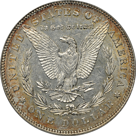 Eighteen different 1878 VAM Morgan dollar varieties. ANACS.