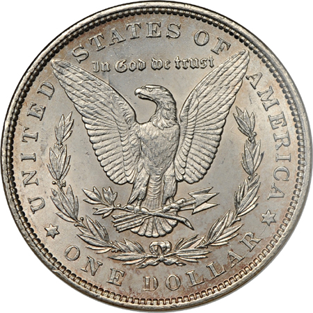 1884 VAM-14 "Discovery Piece"/Cleaned/ ANACS MS-60 Details.