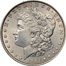 1884 VAM-14 "Discovery Piece"/Cleaned/ ANACS MS-60 Details.