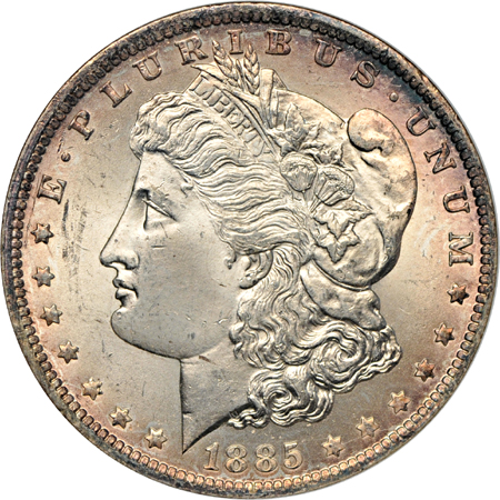 Fifteen certified Morgan dollars.