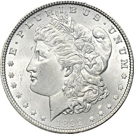 Partial album (1891 - 1921-S) of Morgan dollars.