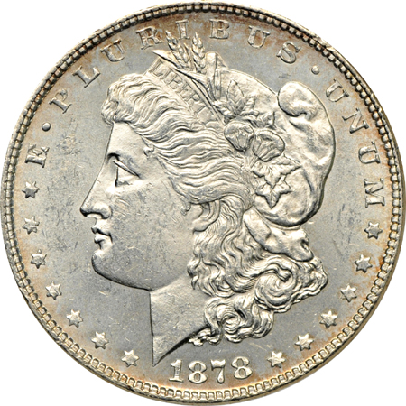 Seven certified Morgan dollars. ANACS.