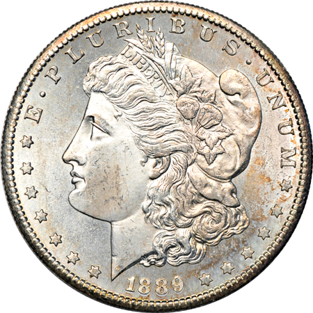 Partial album (1887 - 1897) of Morgan dollars,