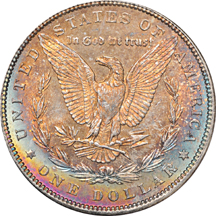 Sixteen 1887 "Alligator Eye" VAM-12, Top 100, Morgan silver dollars. NGC MS-64.