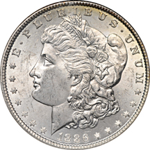 Twelve certified Morgan dollars.