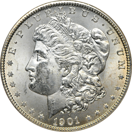 Fifteen certified Morgan dollars.