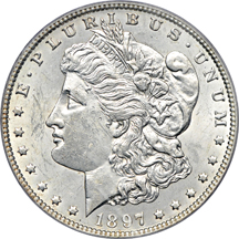 Twelve PCGS certified Morgan dollars.