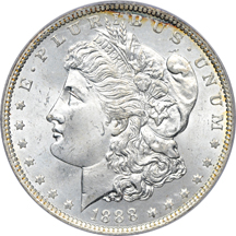 Nine ICG certified uncirculated Morgan dollars.