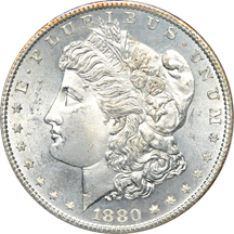 Six PCGS MS-66 Morgan dollars.