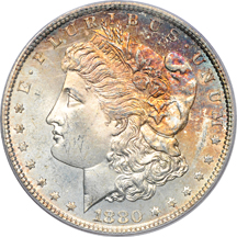 Six PCGS MS-66 Morgan Dollars.