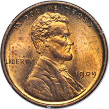 Thirteen certified Lincoln, Wheat Ears Reverse cents.