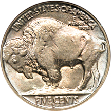 Four Buffalo nickels in ANACS MS-65 holders.